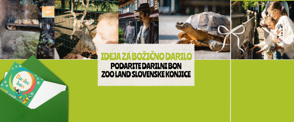 Božično darilo ZOO Land
