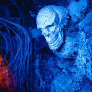 ZOO Land - haunted cave