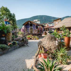 ZOO Land - WIld west