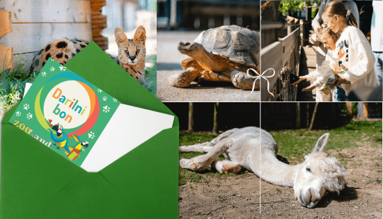 ZOO Land naslovnica darilo