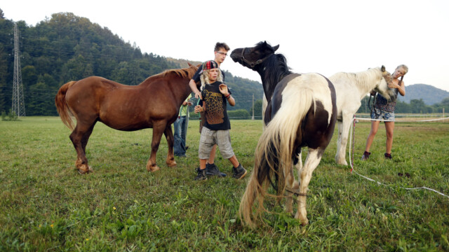 Cirkus Soluna, potujoči ulični umetniki, v Podlipoglavu, 23. julija 2015. (!!!OPOZORILO: Nastopajoči so prosili oz. zahtevali, da se fotografije uporabijo izključno za reportažo v povezavi z njimi, zato predlagam, da jih NE ARHIVIRAMO!!! Hvala.)